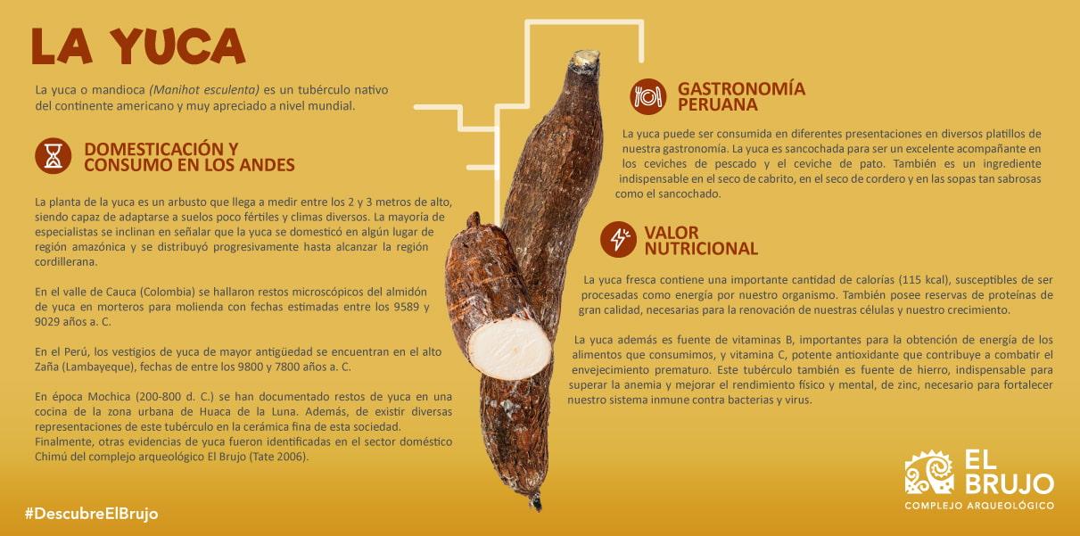 La yuca en la gastronomía peruana